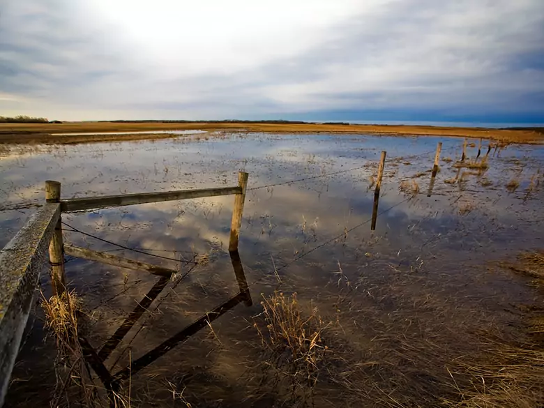 Psychika powodzian: jak pomóc i jakie mogą być objawy PTSD po powodzi?
