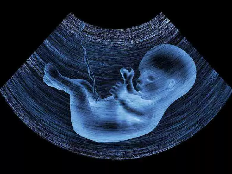 Już 24 września rusza kampania - Pozwól Dziecku Rozkwitnąć