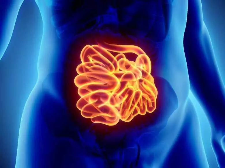 Korelacja pomiędzy nieregularnym snem a zdrowiem naszych jelit