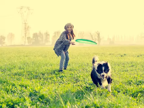 Jak kontakt ze zwierzętami wspiera zdrowie psychiczne?