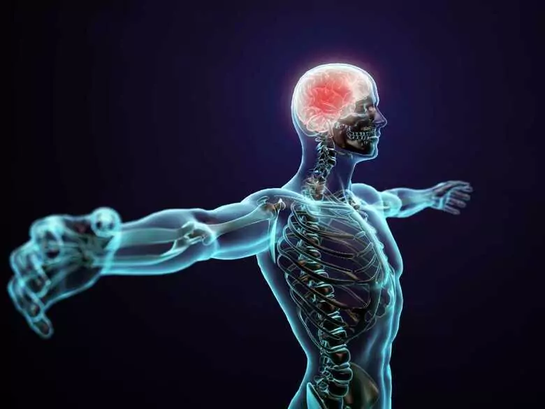 Zaburzenia ze spektrum autyzmu częstsze u osób, których mózg jest anatomicznie płci męskiej?