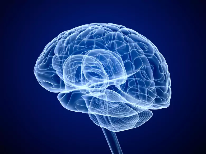 IQ ludzi XXI wieku- Jak zmienia się nasz poziom inteligencji ?