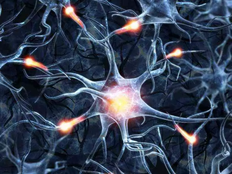 Rola BDNF i GABA w neuroregeneracji