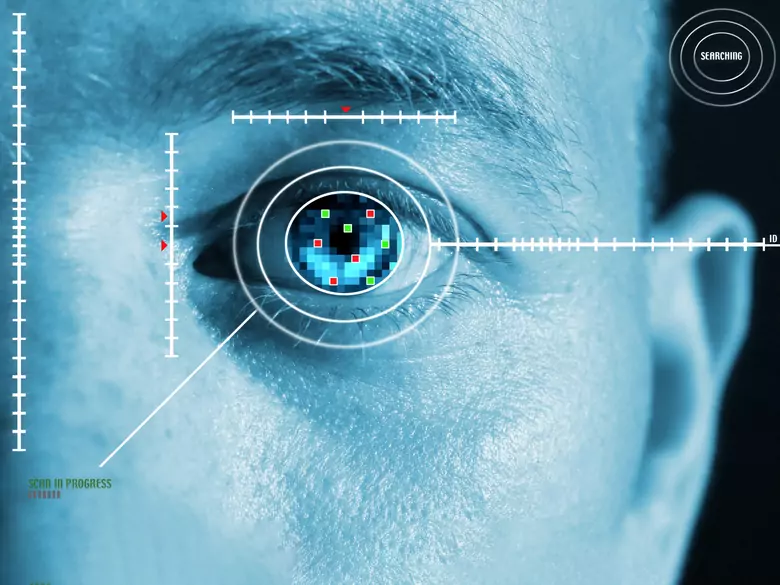 Oglądactwo i wąchactwo