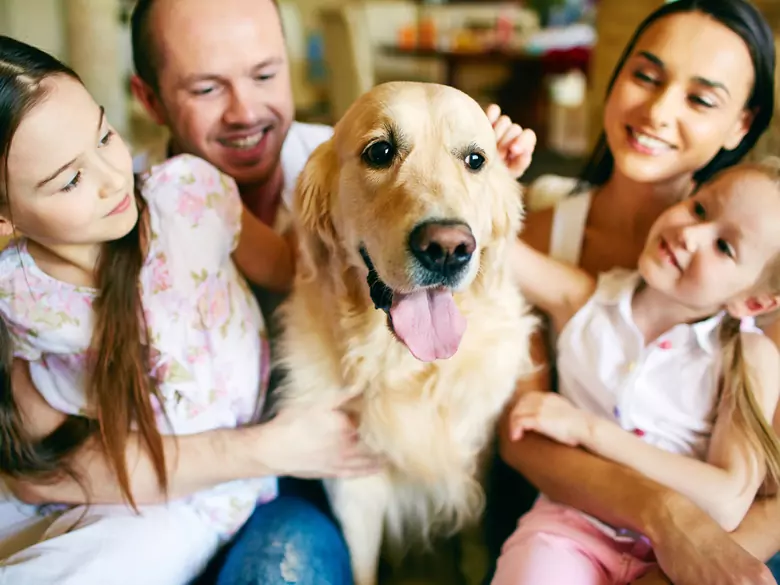 Rola zwierząt w psychoterapii