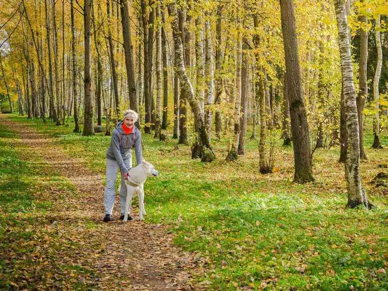 Kolejna konferenecja premiera w sprawie COVID-19