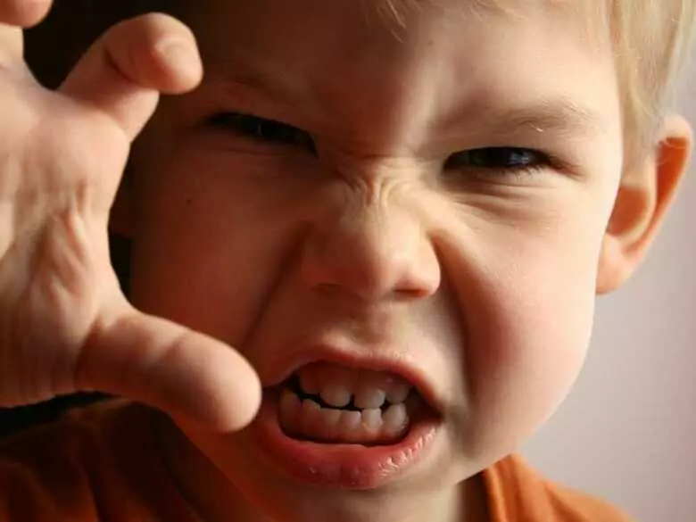 Konferencja "Jeśli nie agresja, to co?"